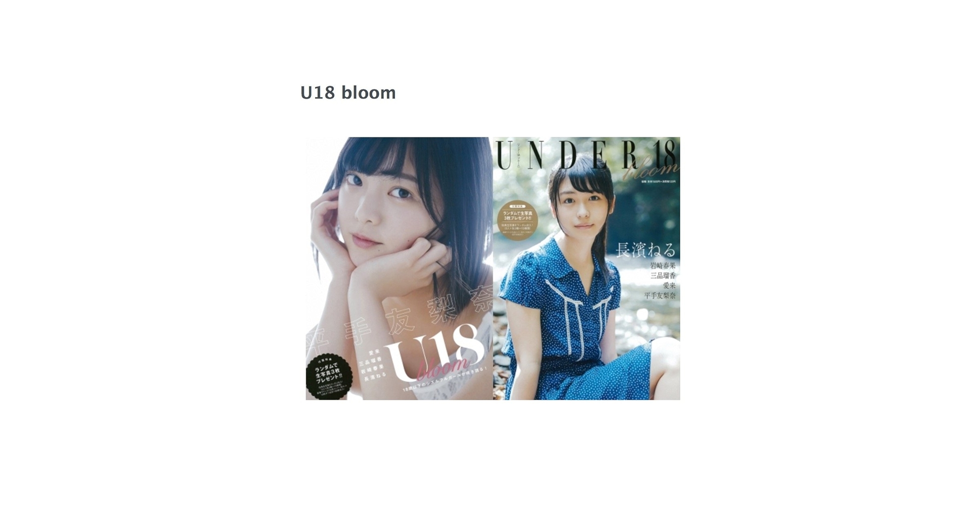 平手友梨奈　生写真　18コンプセット 平手友梨奈 生写真 18コンプセット